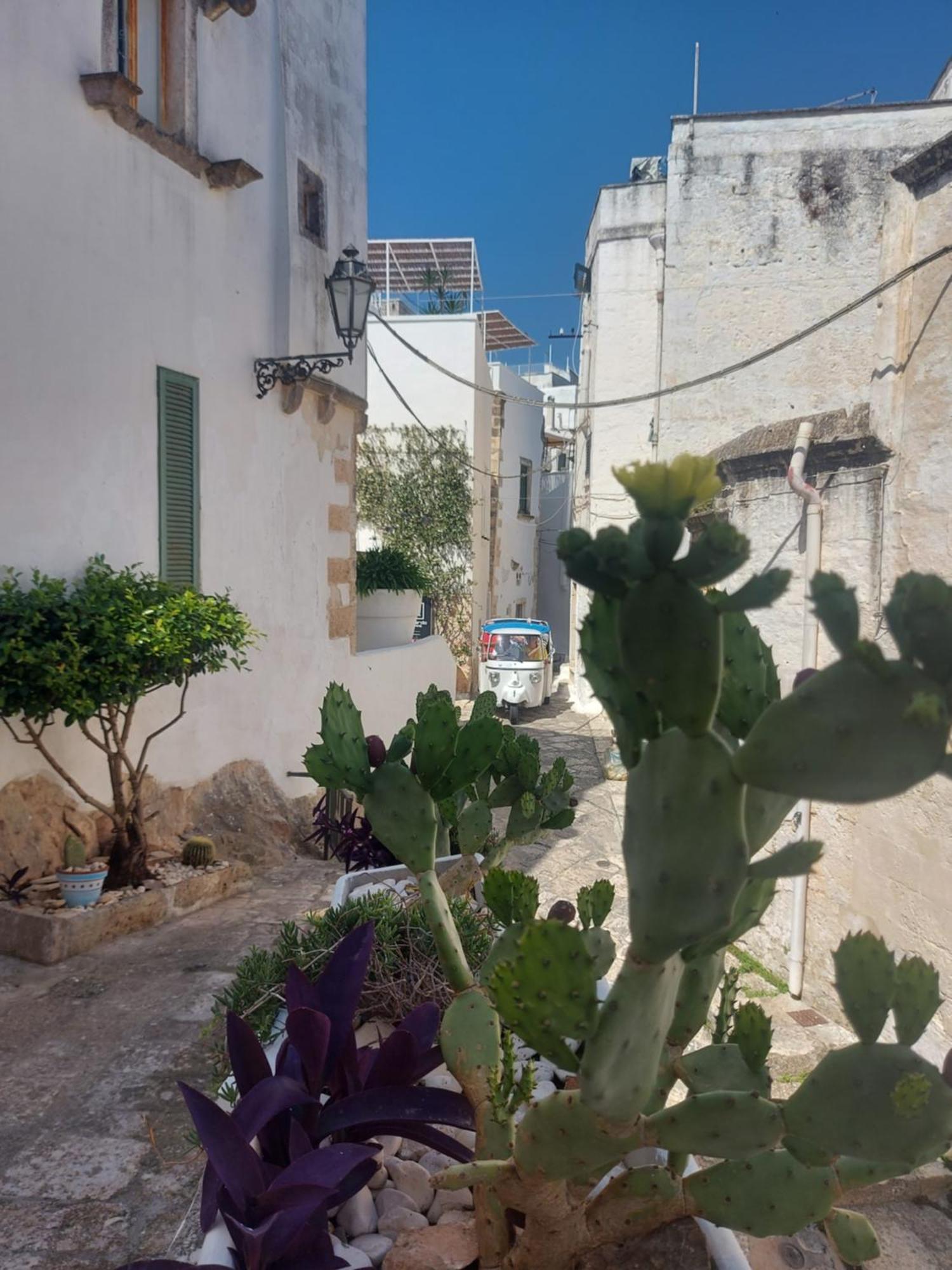 Antica Dimora Flale Appartement Ostuni Buitenkant foto